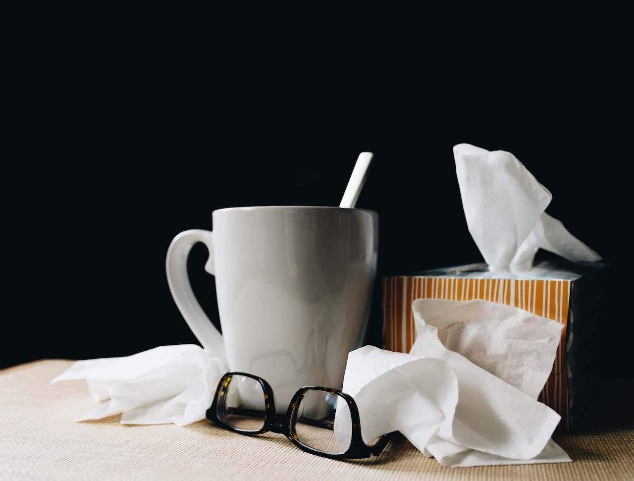 Mouchoirs, papier toilette et essuie-tout Bio