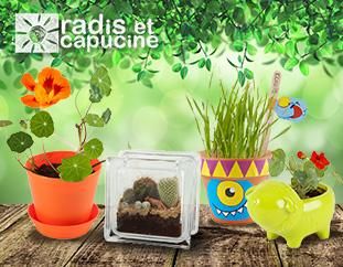 Radis & Capucine